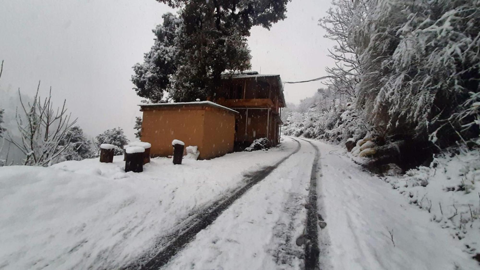 Tirthan Ecostay Gushaini Exterior photo
